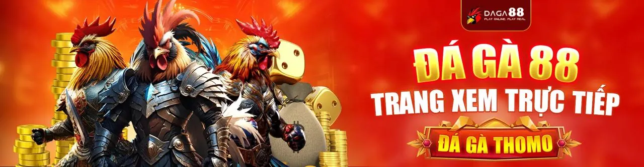 Đá gà trực tuyến NW88 với đấu trường sôi động
